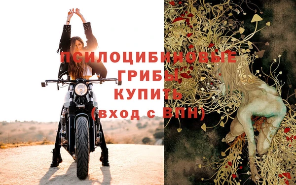 стаф Киреевск