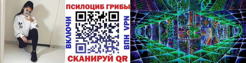 Галлюциногенные грибы мухоморы  Купить где  Новодвинск 