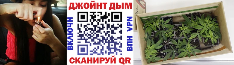 Канабис AK-47  Купить  Новодвинск 